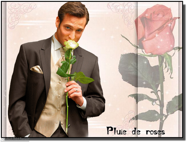 Pluie de roses pour toi